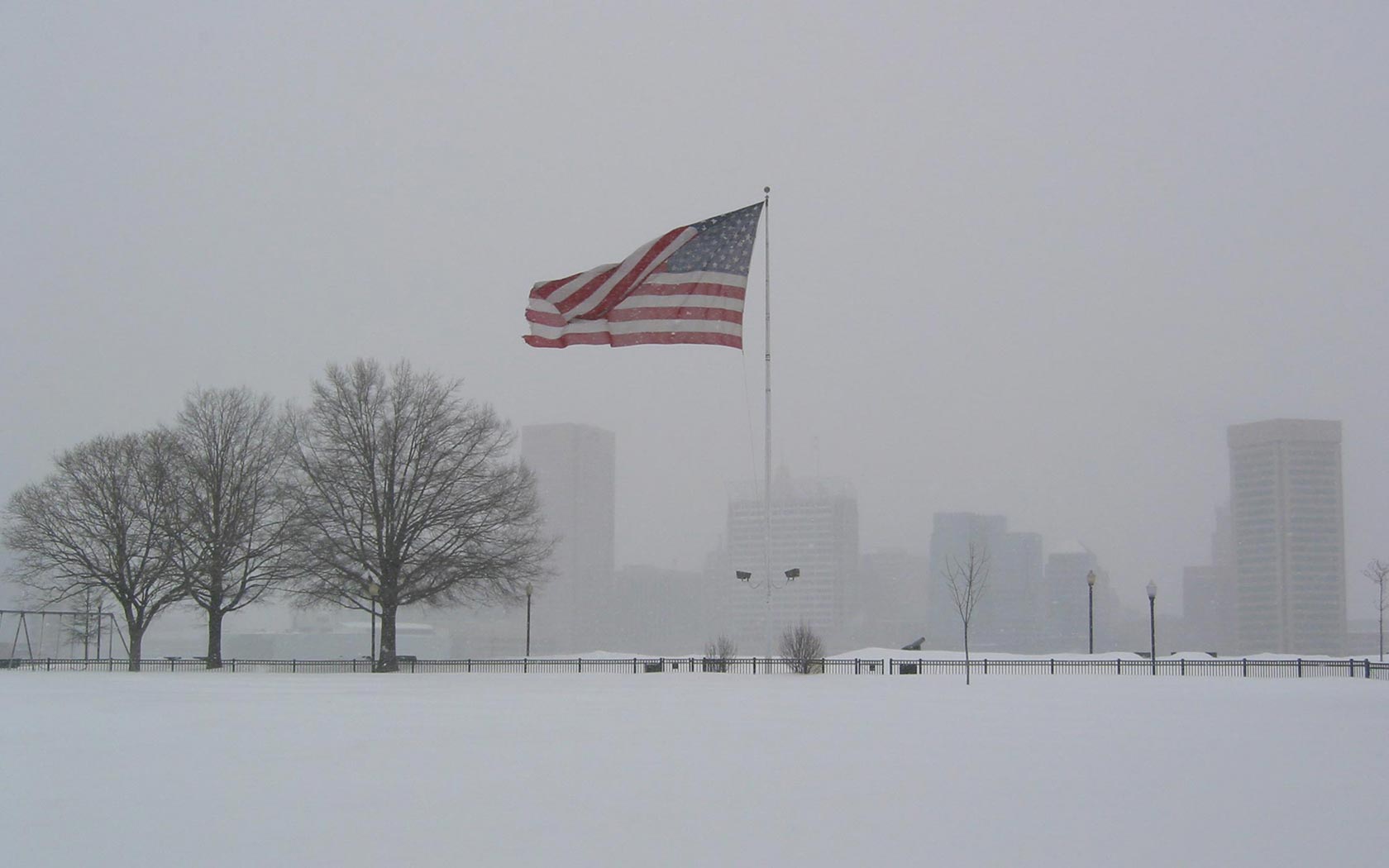 Bandera USA