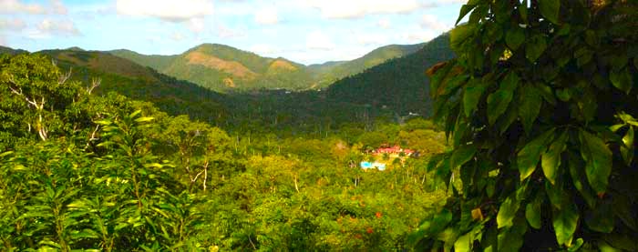 Sierra del Rosario - Portada