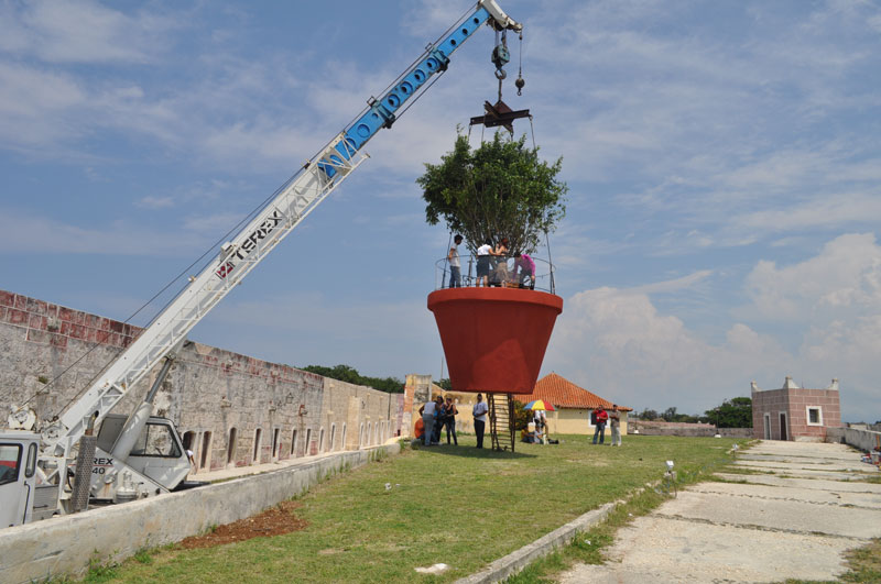 Maceta bienal