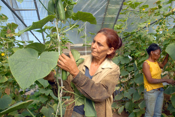 Mujer Rural 03