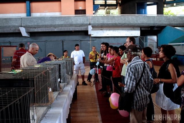 Expo Felina 2012 09