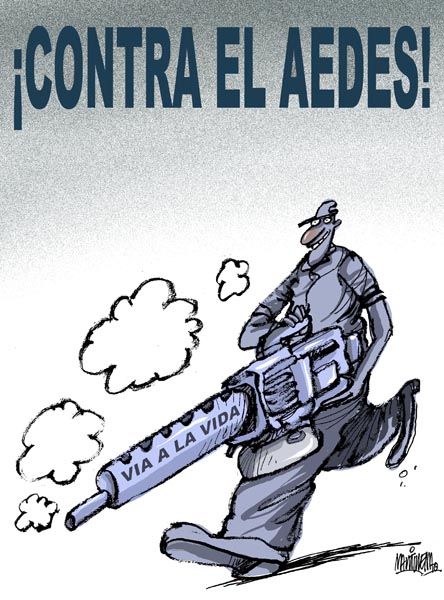 Posquito Aedes 