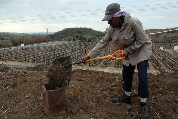 Unidad Básica de Producción Cooperativa (UBPC) ?La República 04