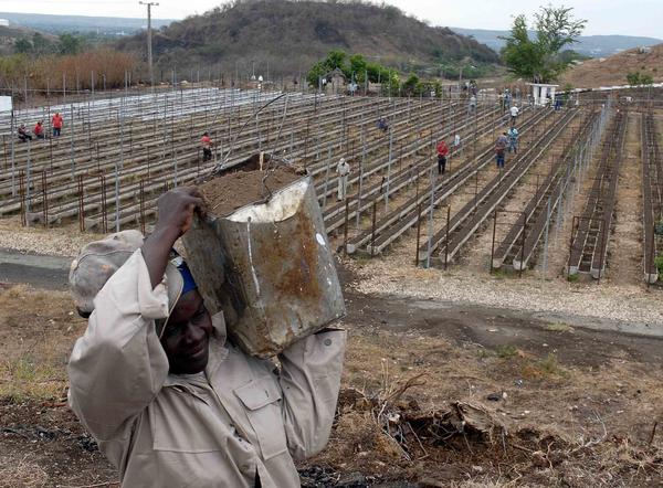 Unidad Básica de Producción Cooperativa (UBPC) ?La República 01