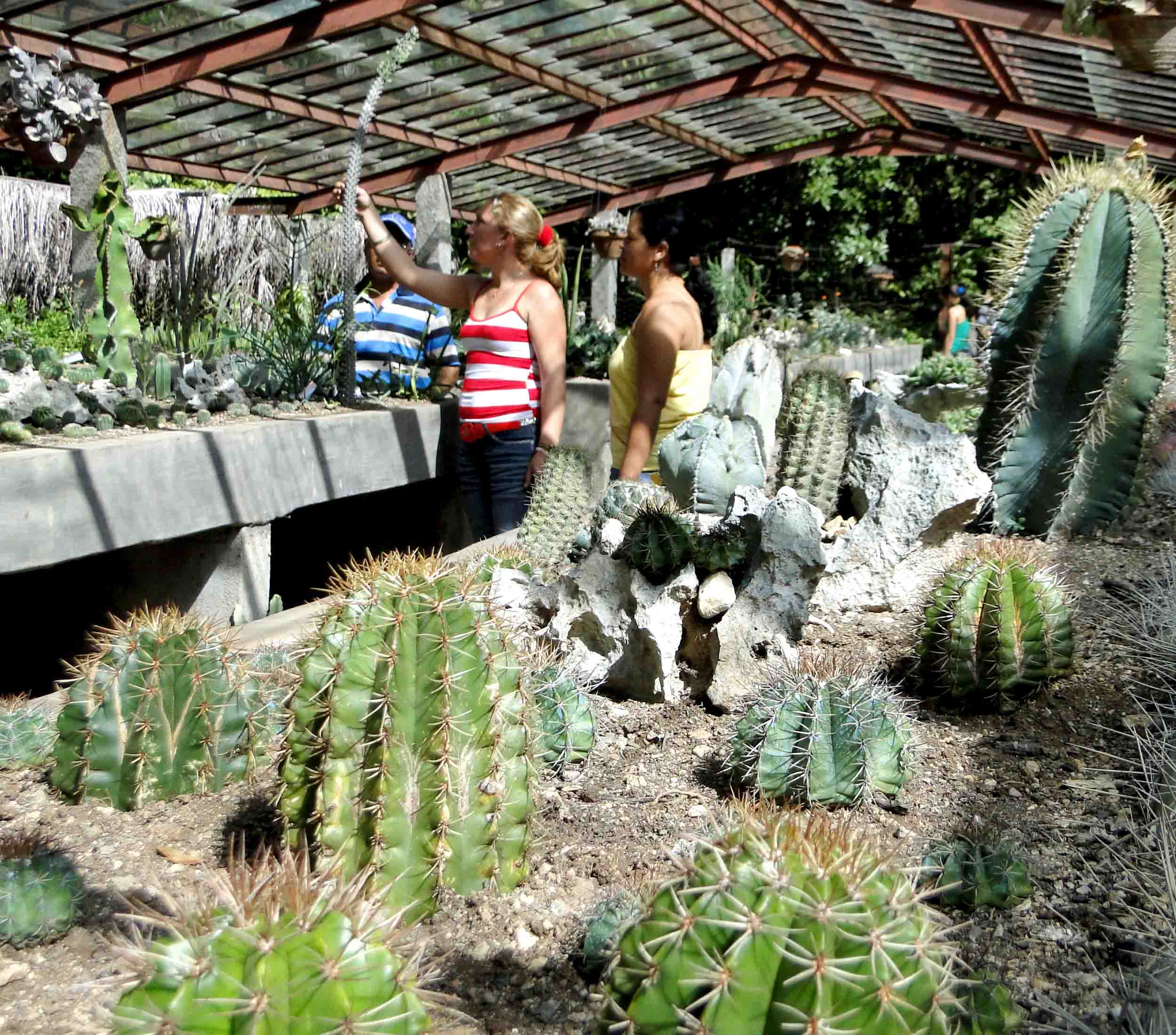 Jardin Botánico en Granma