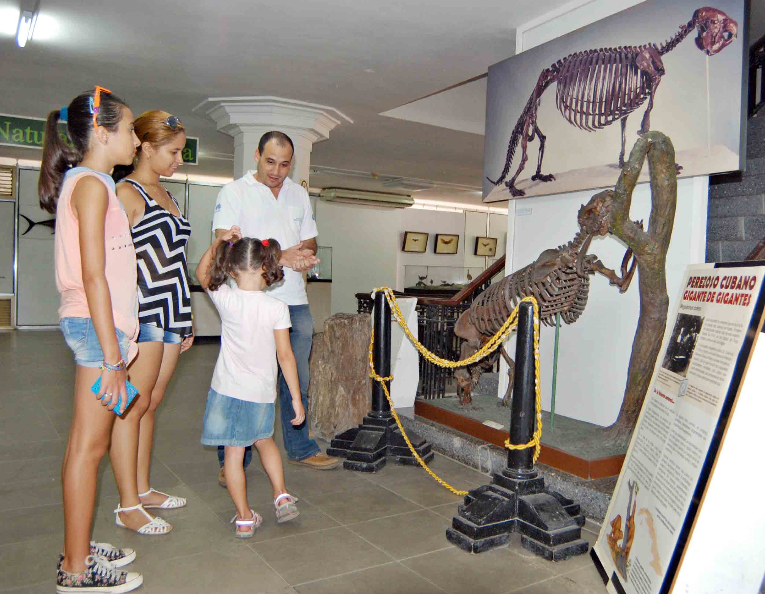 Especialista curador de la expo del perezoso