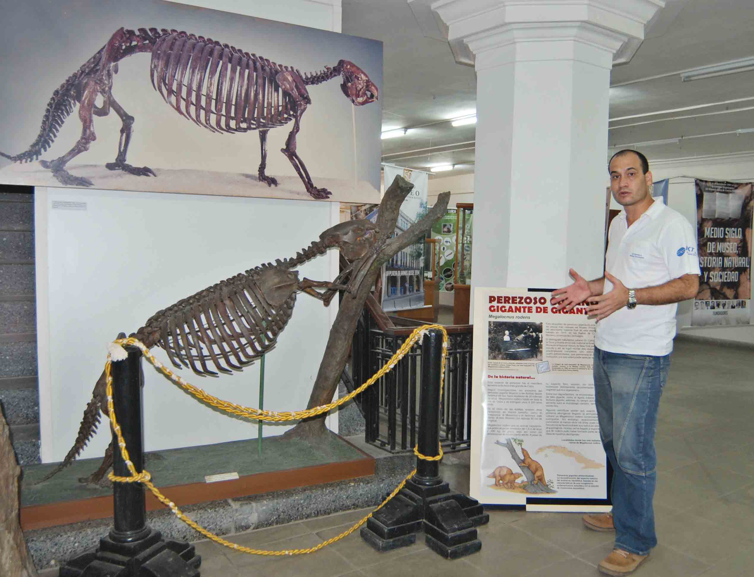 Joao Mártinez curador 