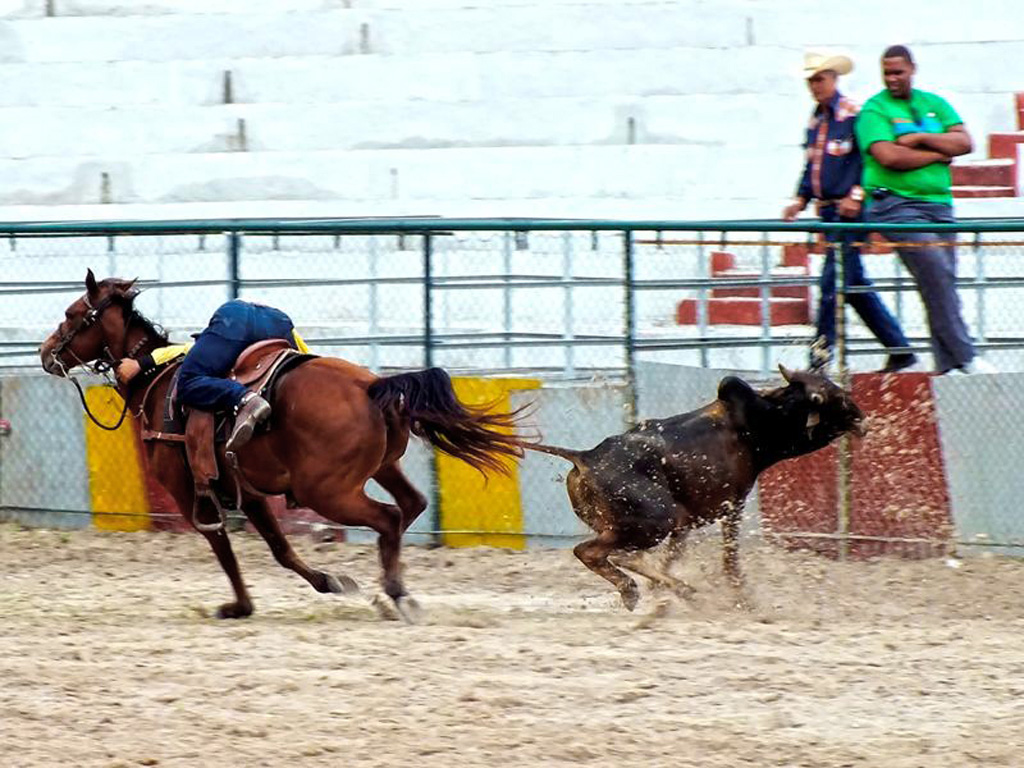 Competencias de rodeo 08