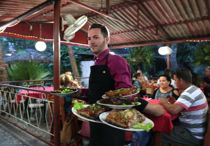 Negocios por cuenta propia