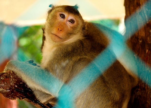 Parque nacional la Guira12