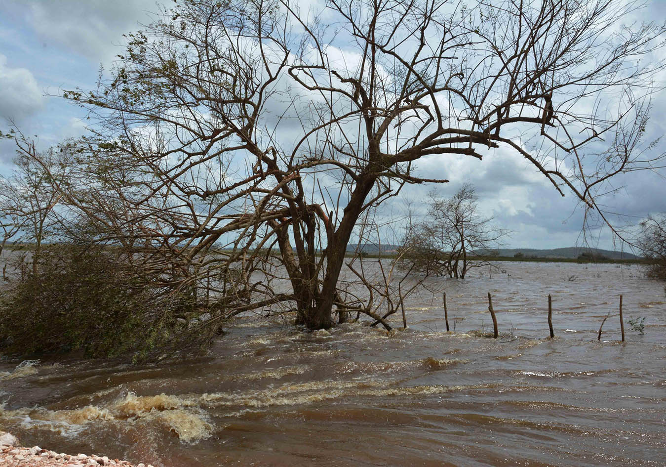 Afectaciones en el municipio cabecera de Esmeralda, Camagüey, ocasionadas por el Huracán Irma a su paso por la costa norte de Cuba, 11 de septiembre de 2017.