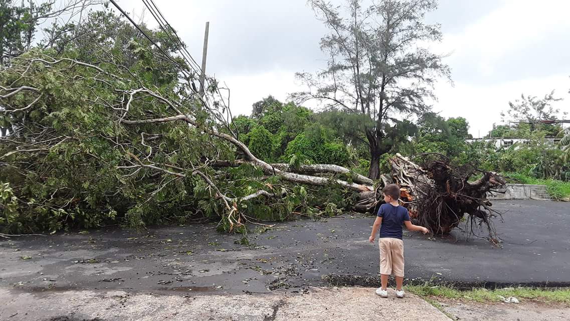 Amanecer después de Irma en el Cotorro