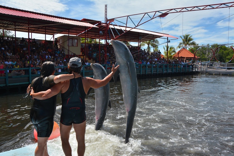 Delfinario Varadero ACN