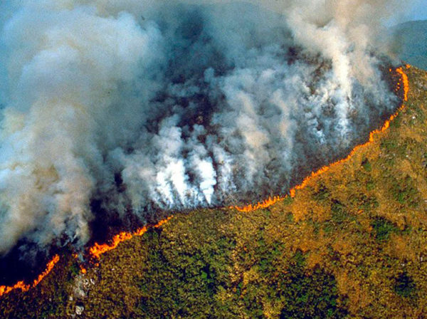 Incendio en Brasil