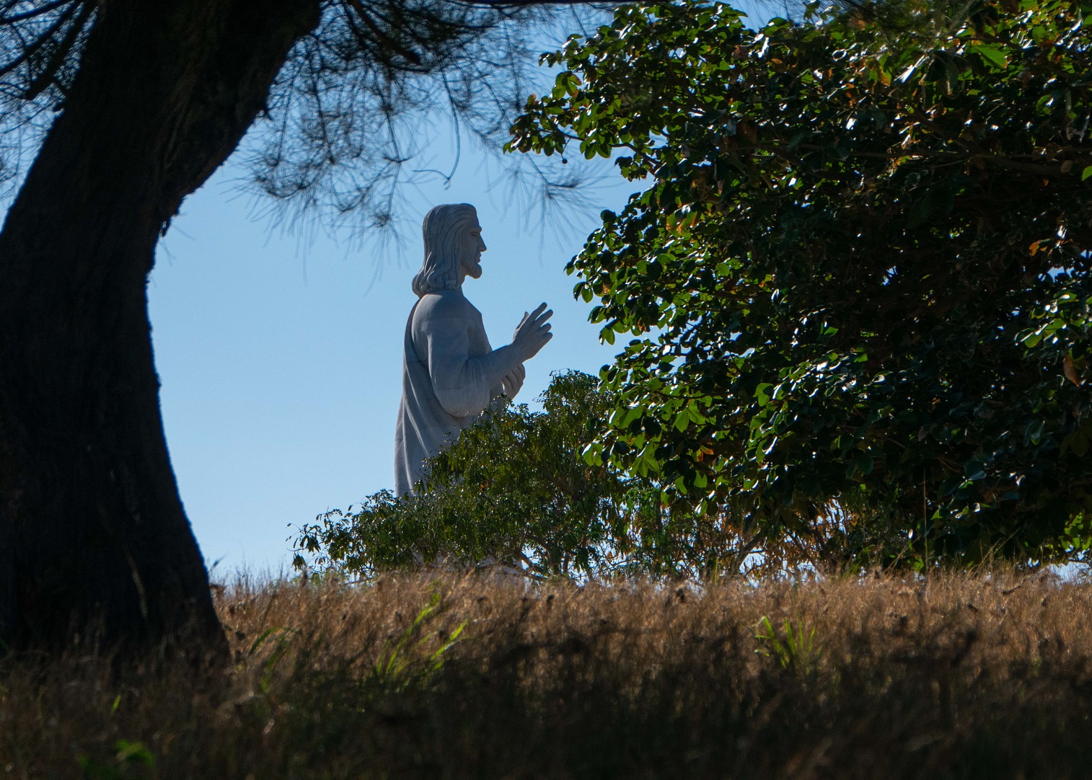 Cristo de La Habana- Alejandro Benitez 4