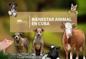 MINAG Bienestar Animal