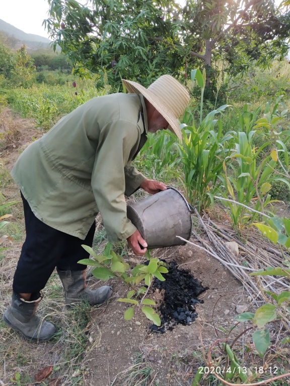 Biochar - tipo de carbón