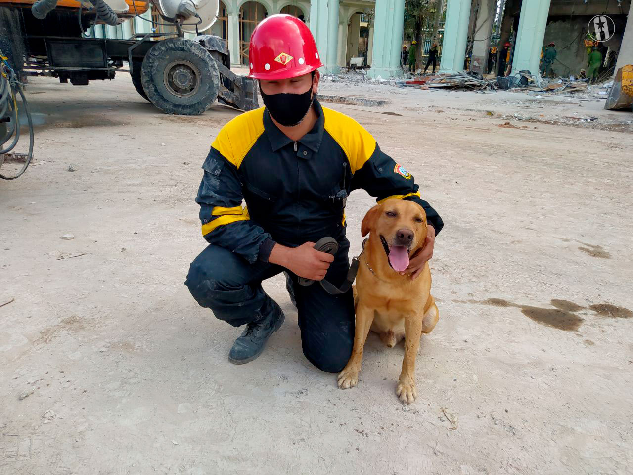 Brigada canina - hotel Saratoga