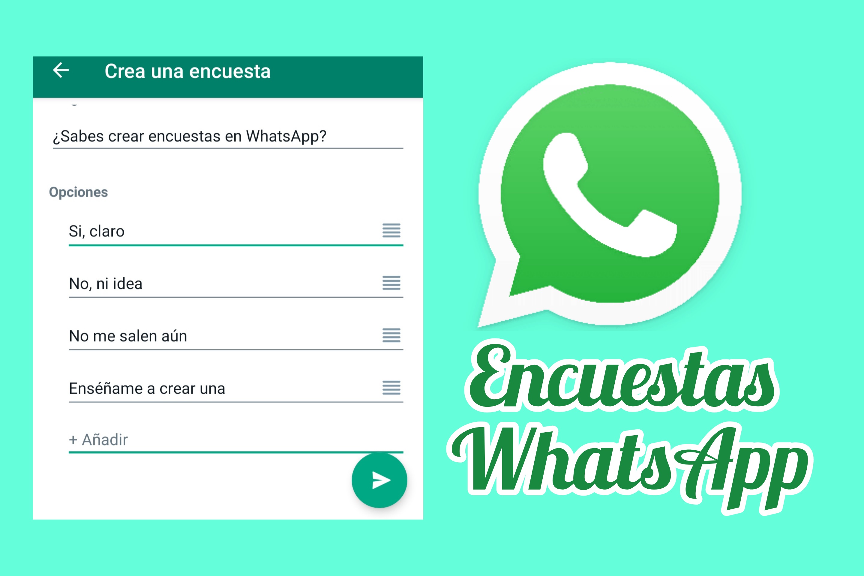 Portada encuesta WhatsApp