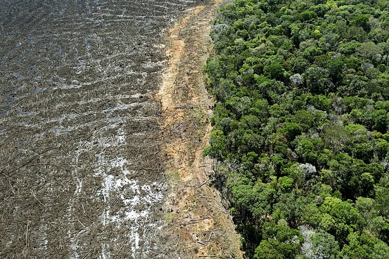 Deforestación en Brasil