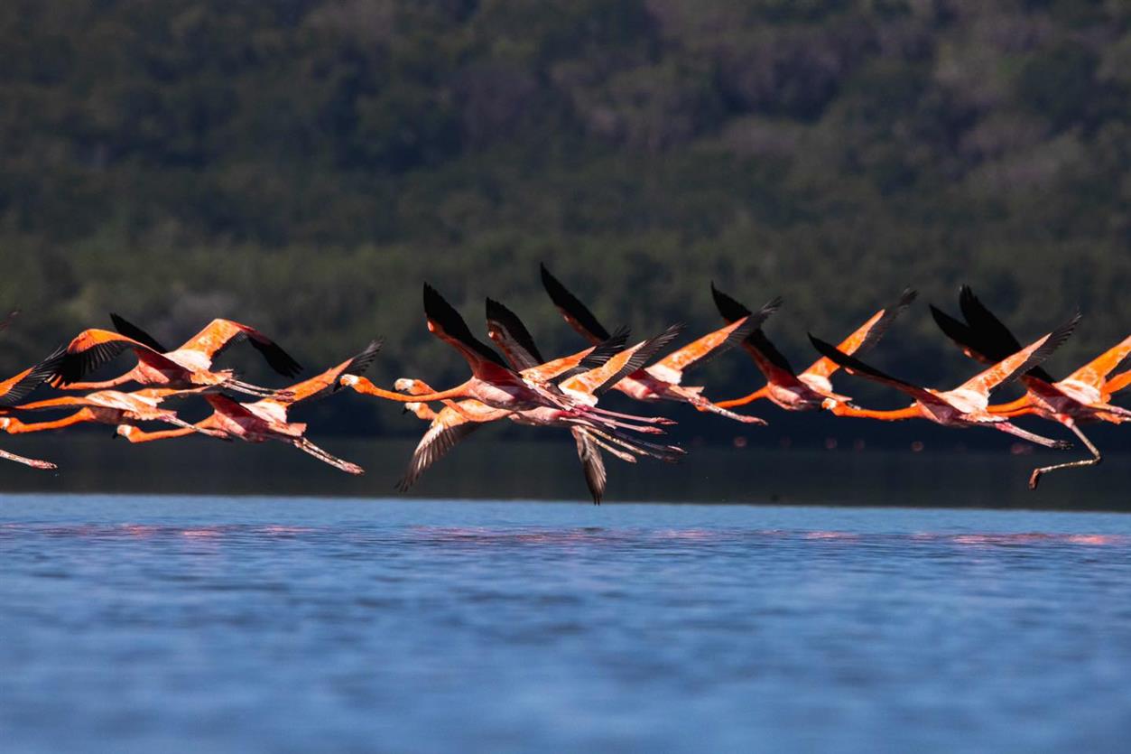 Laguna de Guanaroca