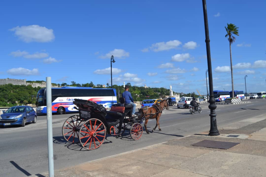 Caminar La Habana 