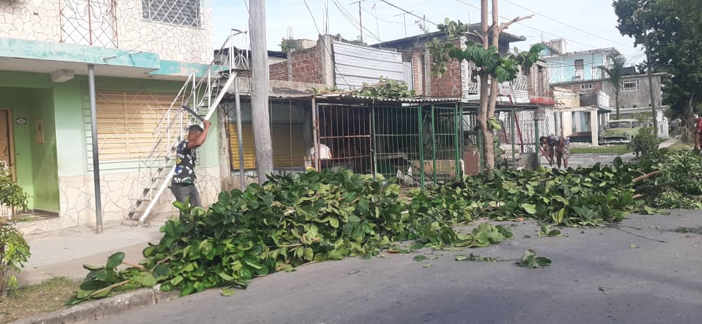 Poda de árboles en Santiago de Cuba ante amenaza del Huracán Melissa