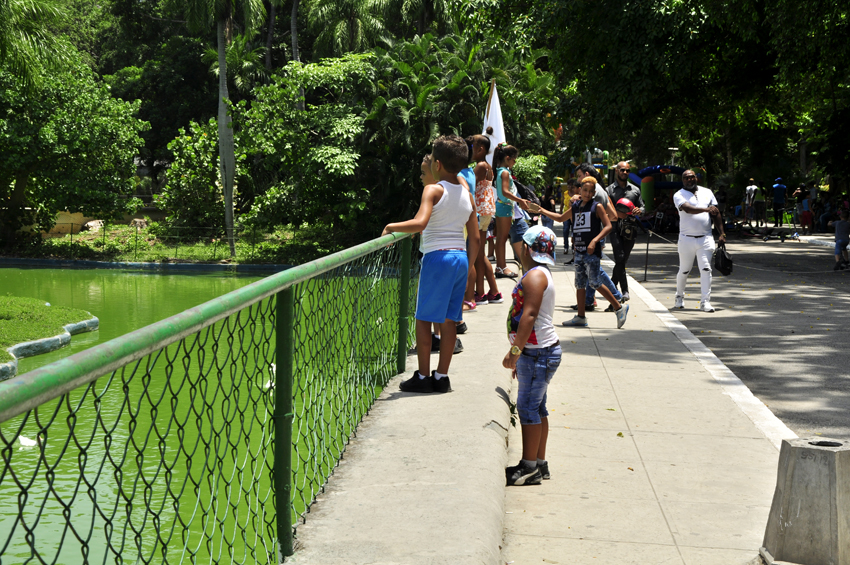 Jardín Zoológico de La Habana, lugar para el esparcimiento. Foto: Roberto Garaicoa Martínez/ Cubahora