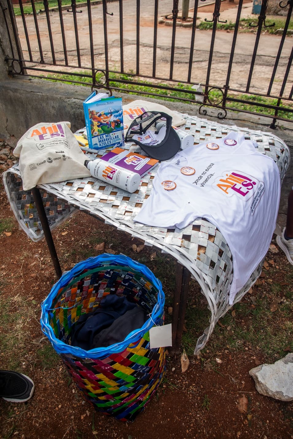 Proyectos de desarrollo local y emprendimientos 