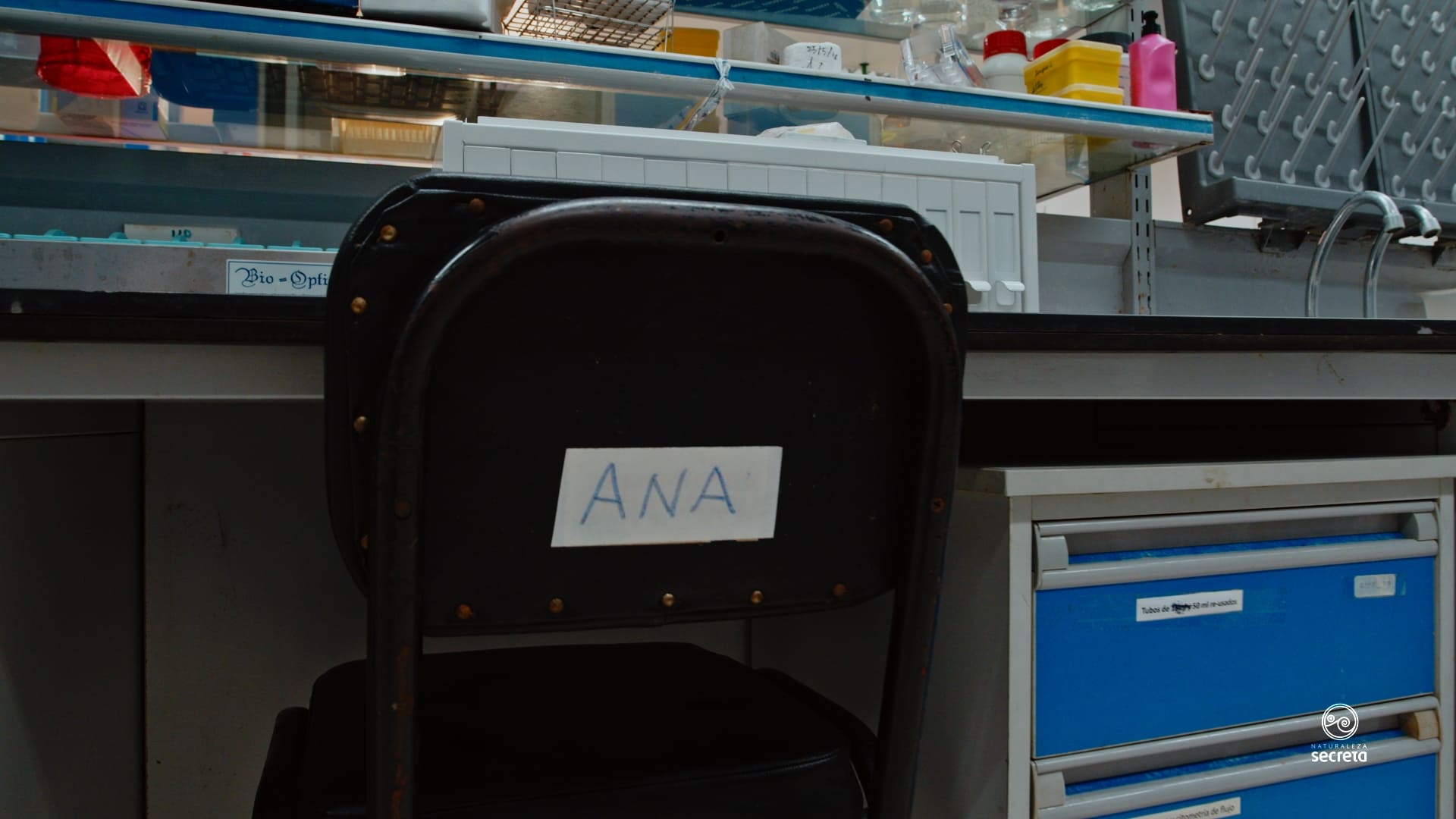 La naturaleza expuesta de la asfixia 