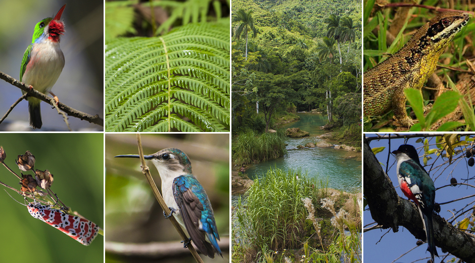 La conservación de la biodiversidad